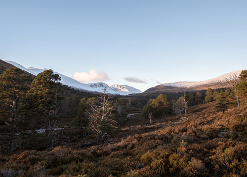 Braemar Literary Festival 2023